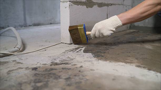 SJ Waterproofing Pros Waterproofing coverage map for Denmark, SC and surrounding area